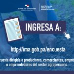 IMA REALIZA ENCUESTA PARA MEJORAR LA DIVULGACIÓN DE INFORMACIÓN COMERCIAL –  Instituto de Mercadeo Agropecuario